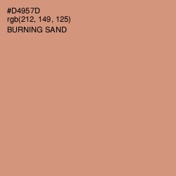 #D4957D - Burning Sand Color Image